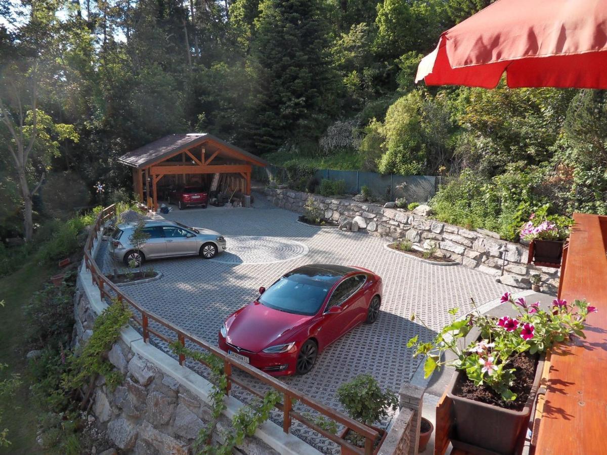 Fewo In Der Weinleiten Millstatt Luaran gambar